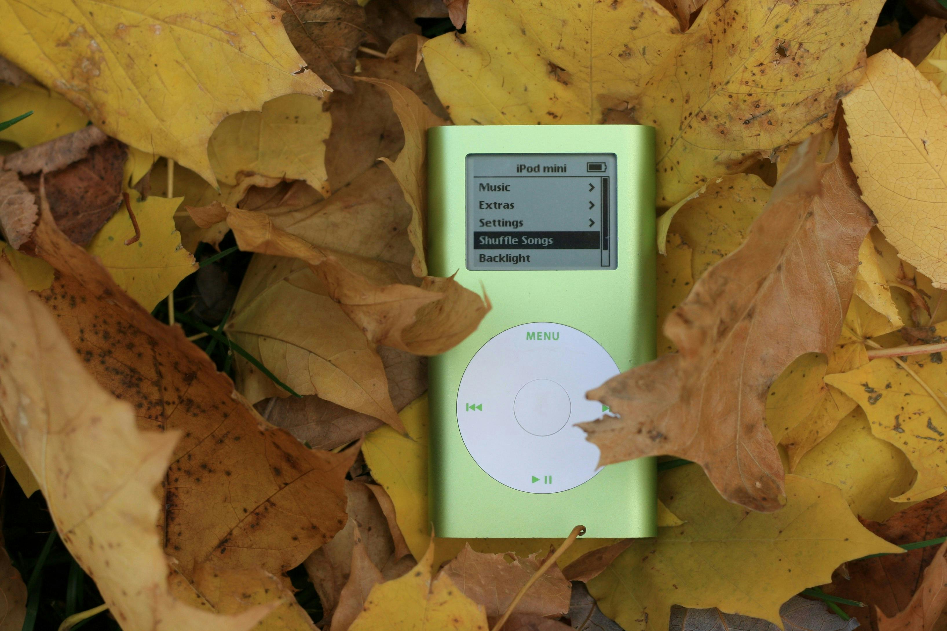 iPod Mini on leafs.